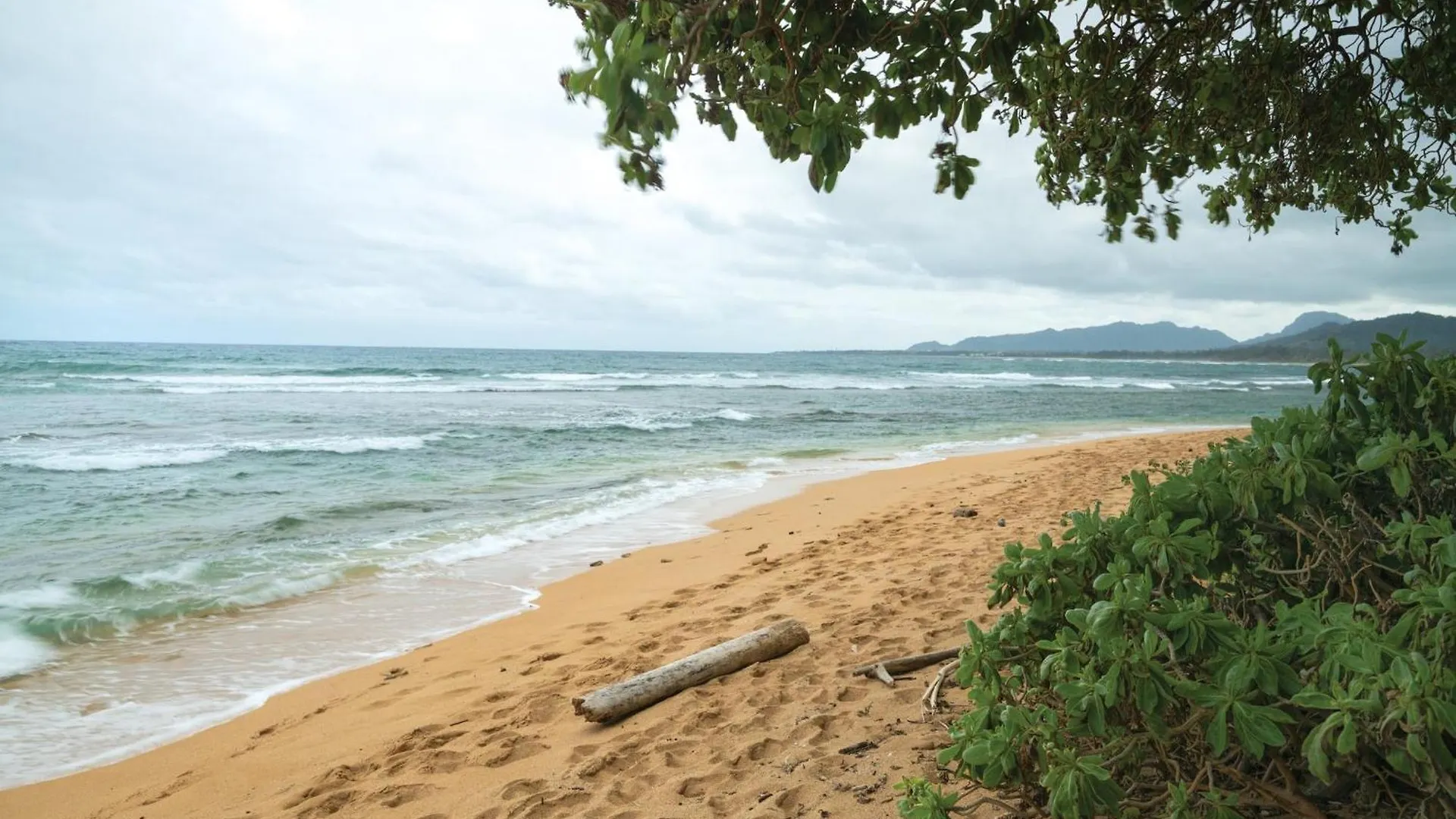Kauai Coast Resort At The Beach Boy Kapa'a